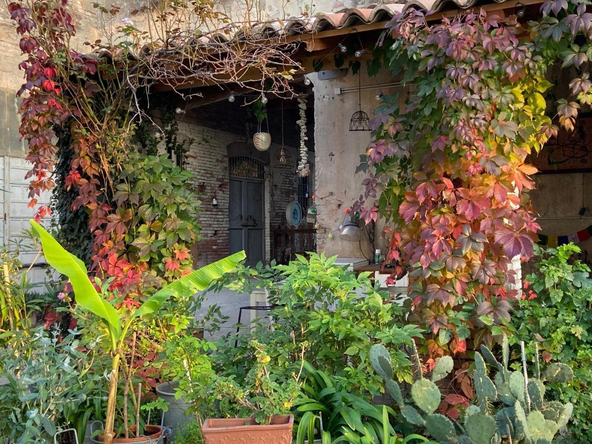 B&B Ostria Vento Medesano Esterno foto