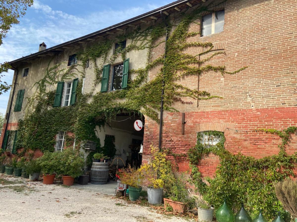 B&B Ostria Vento Medesano Esterno foto
